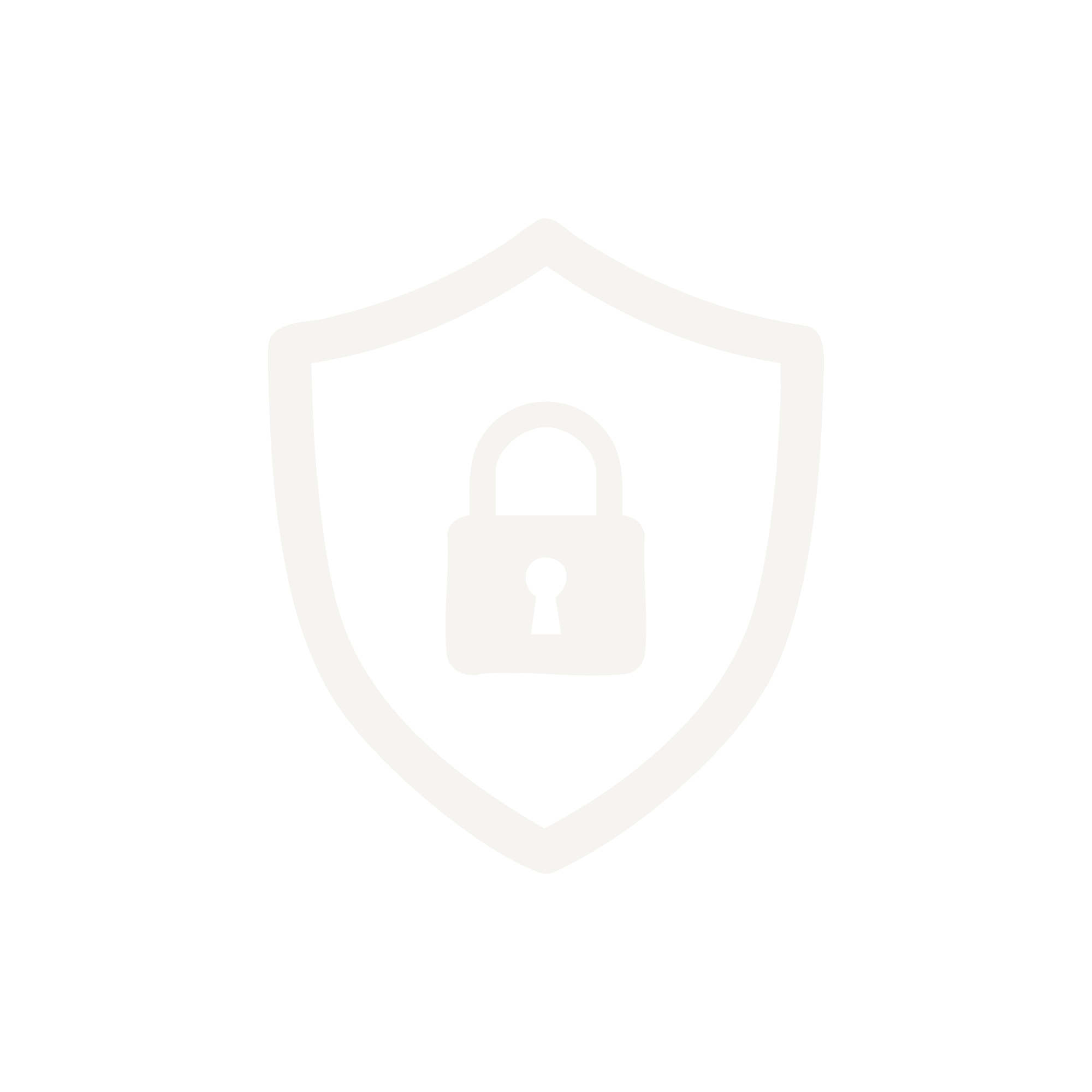 Security icon